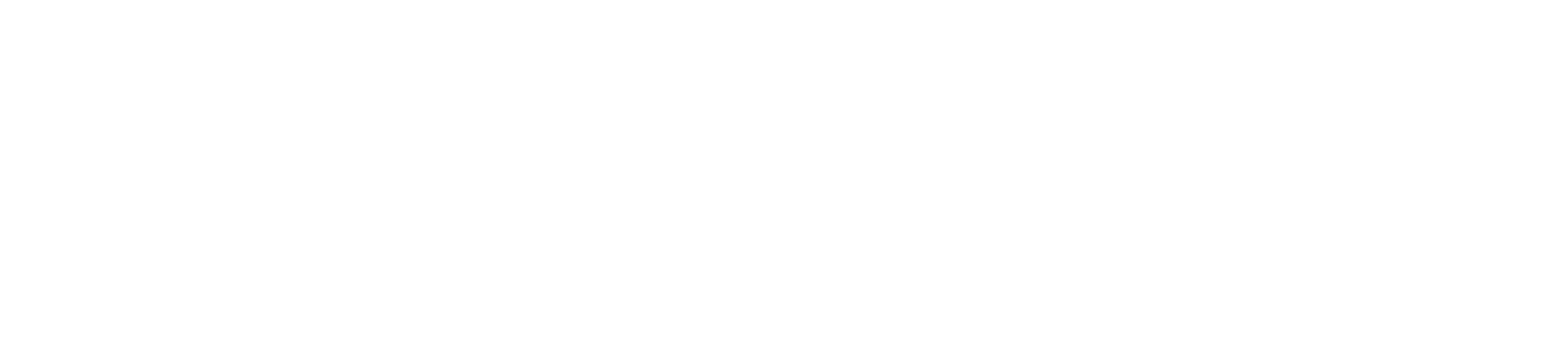 ZELVATORI